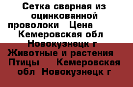 Сетка сварная из оцинкованной проволоки › Цена ­ 104 - Кемеровская обл., Новокузнецк г. Животные и растения » Птицы   . Кемеровская обл.,Новокузнецк г.